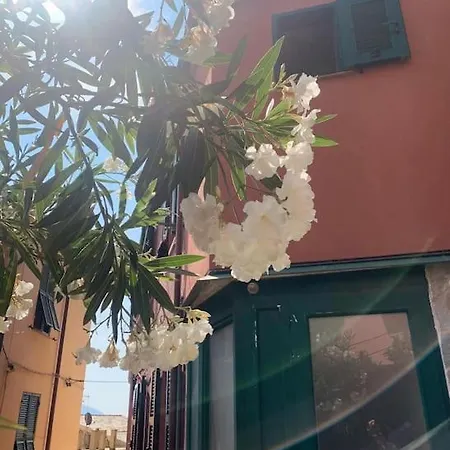 Historic Downtown By The Sea With King Bed Lägenhet Monterosso al Mare
