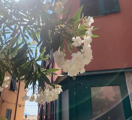Historic Downtown By The Sea With King Bed Apartamento Monterosso al Mare